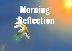 Morning Reflection